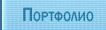 Портфолио